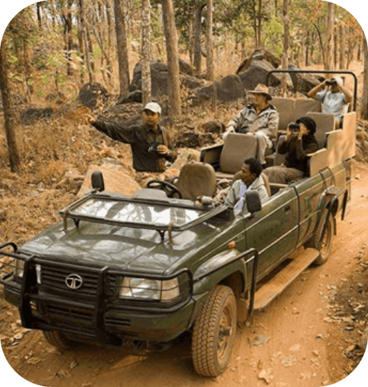 An open-top green safari vehicle with a protective grille in the front is on a dirt road amidst a forested area. Several individuals, with their faces obscured, are seated in the vehicle, wearing hats and looking out into the surroundings, suggesting a wildlife safari or tour.